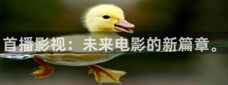 八戒影视免费在线